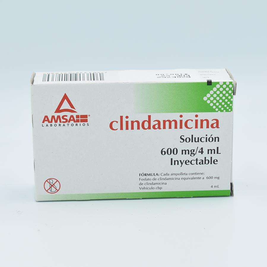 CLINDAMICINA 600MG/ 4ML CAJA CON 1 AMPULA G.I (AMSA) – Farmacias Iguales